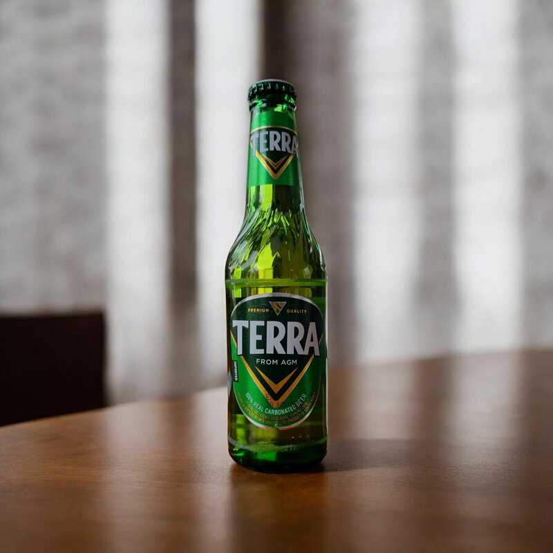 Piwo Terra 330ml
